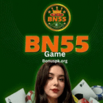 bn55 game