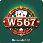 W567 game
